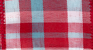 Color Chic Plaid Wired Ribbon #7380