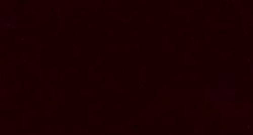 Burgundy Nylvalour Swiss Velvet #434