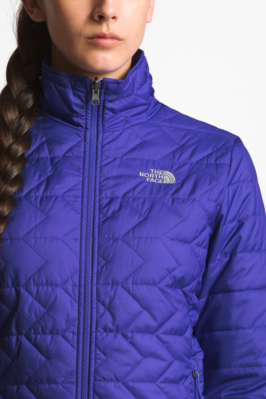 purple north face ski jacket