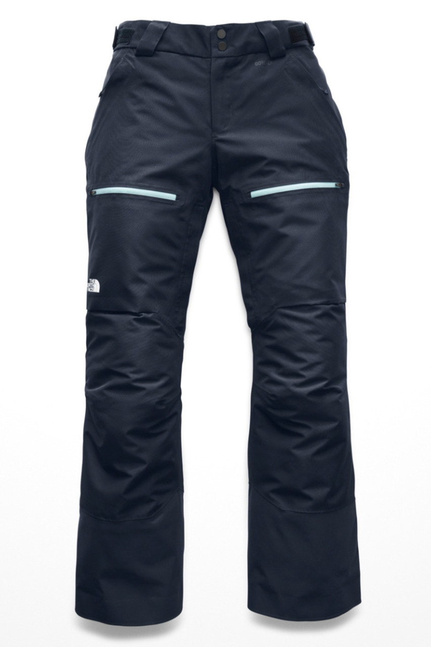 the north face powder guide pants