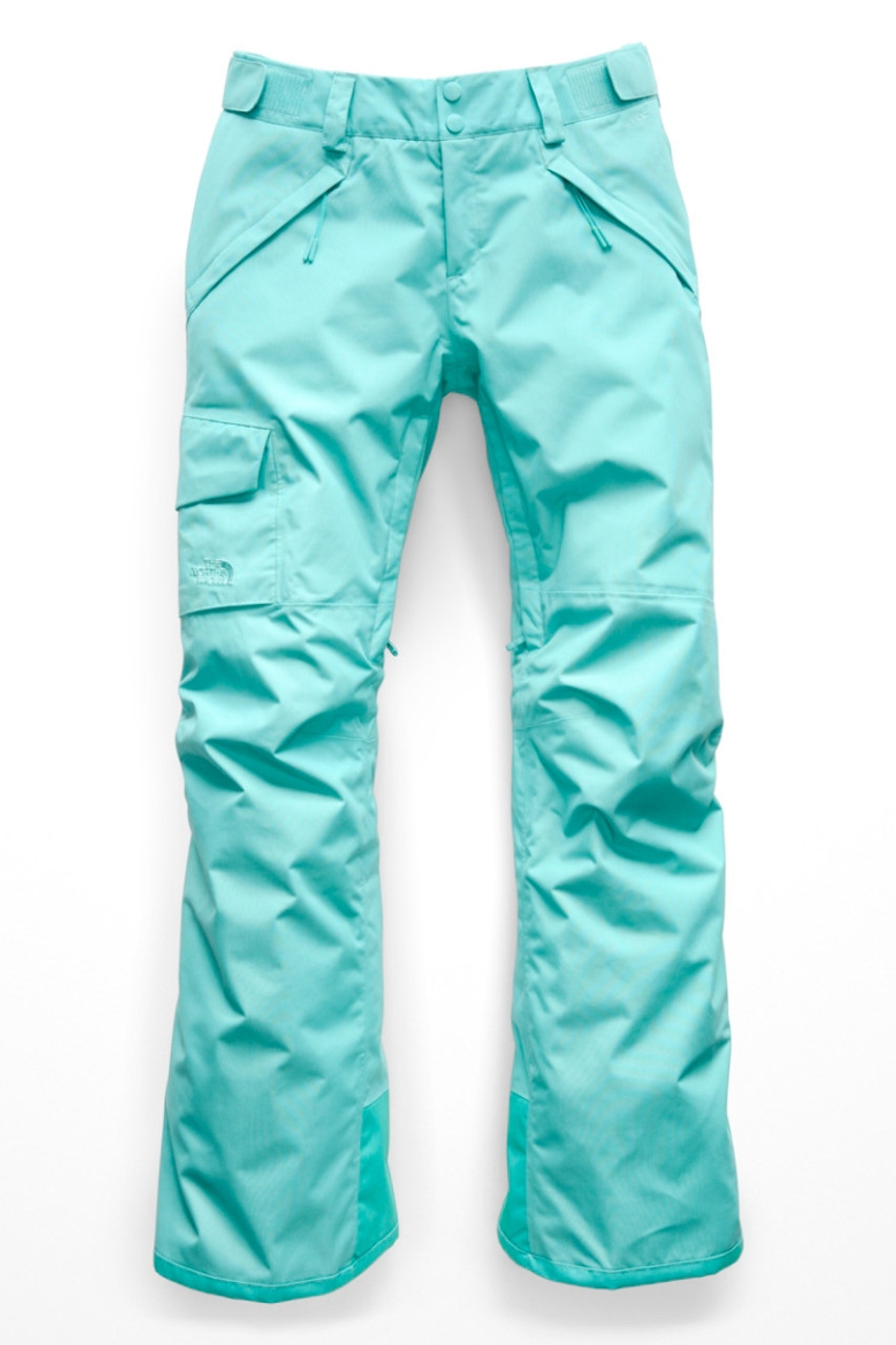 women's the north face pants