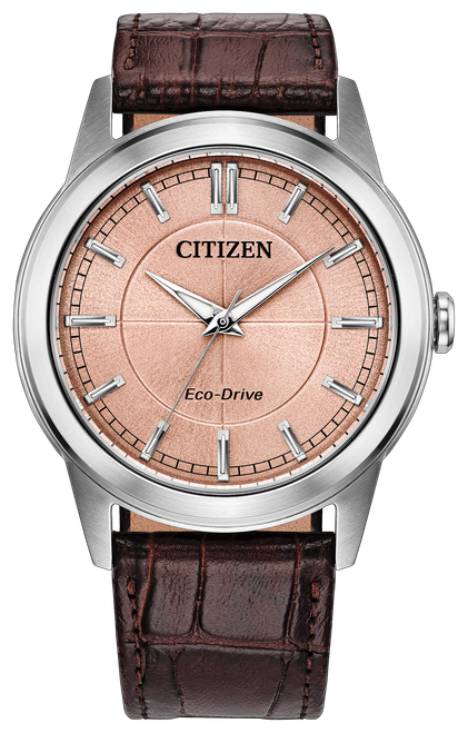 Citizen Rolan AW2110-14Z — Watch Image