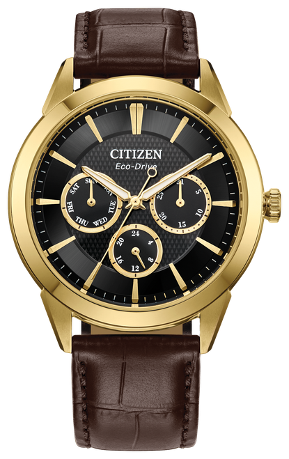 Citizen Rolan BU2112-06E — Watch Image