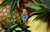 Citizen Aloha, Stitch!, reference FE2108-59W, view 7