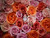 Citizen Belle, Eternal Beauty, reference GA1083-43D, view 7