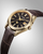 The Citizen AQ4103-16W — View 5