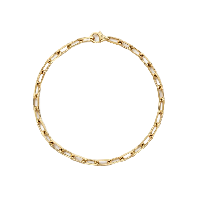 Cartier Santos de Cartier — representative Santos de Cartier bracelet, chain, small model
