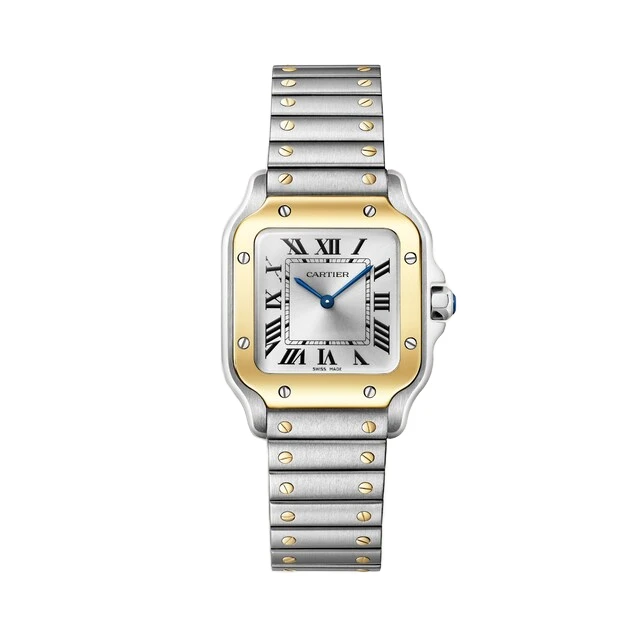 Cartier Santos de Cartier — representative Santos de Cartier watch