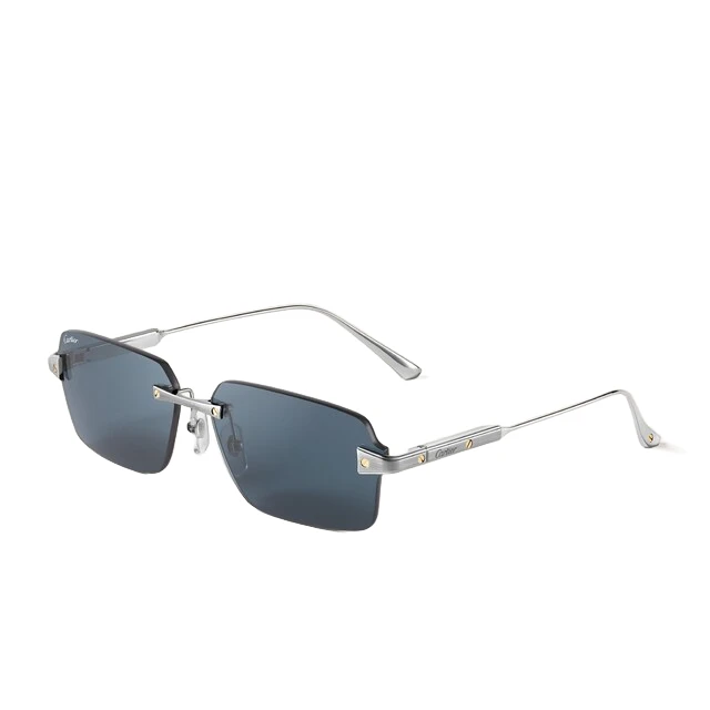 Cartier Santos de Cartier — representative Santos de Cartier sunglasses