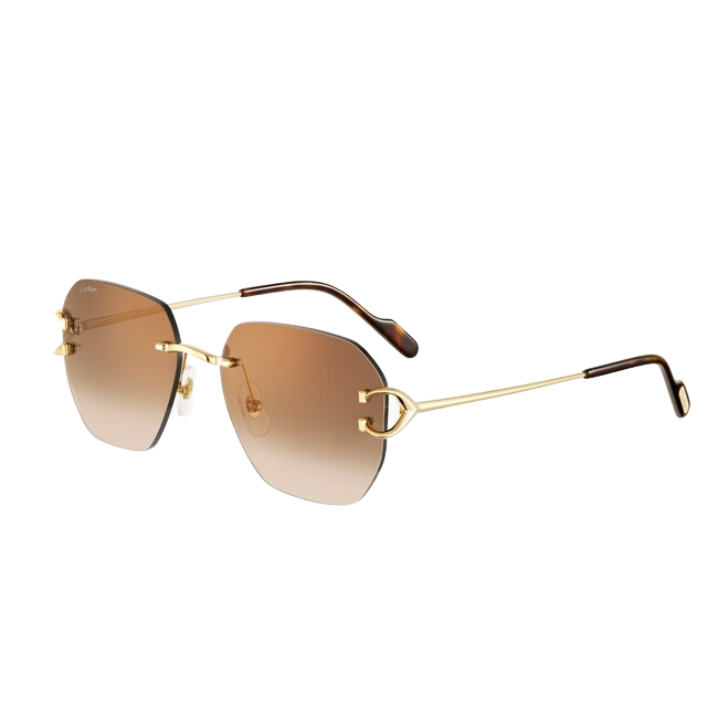 Cartier Signature C de Cartier — representative Classic C Motif Sunglasses