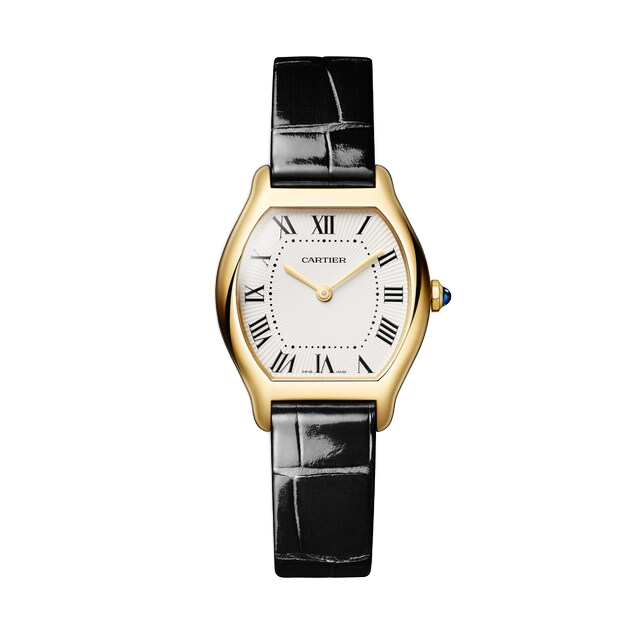 Cartier Tortue — representative Tortue watch