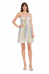 Blue Multi | Nicole Strapless Empire Waist Mini Dress Front