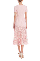 Blush | Short Sleeve Lace Trim A-Line Dress Back