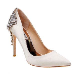 Gorgeous Pointed Toe Evening Shoe