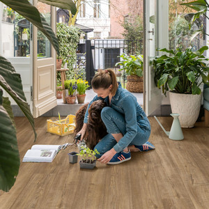 Quick‑Step Impressive Scraped Oak Grey Brown 8mm Laminate Flooring (IM1850) - Premium Impressive collection featuring oak luxury vinyl tile flooring with waterproof technology and easy click-fit installation Quick‑Step Impressive Scraped Oak Grey Brown 8mm Laminate Flooring (IM1850) - Premium Impressive collection featuring oak luxury vinyl tile flooring with waterproof technology and easy click-fit installation