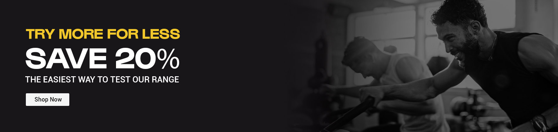 Promotional banner