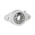 Thermoplastic 2-Bolt Flange Pillow Block with SS Bearing Housing (3/4 Inch Bore ) -PL-UCFL204-12 