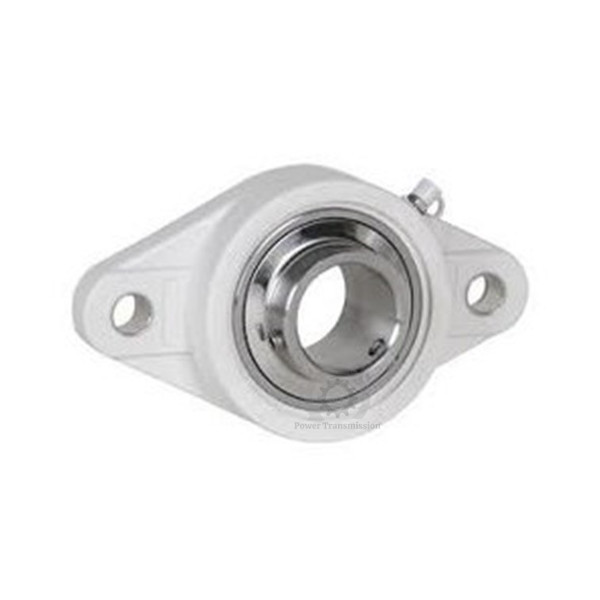 Thermoplastic 2-Bolt Flange Pillow Block with SS Bearing Housing (1-1/2 Inch Bore ) -PL-UCFL208-24 