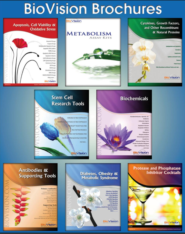 biovision brochures