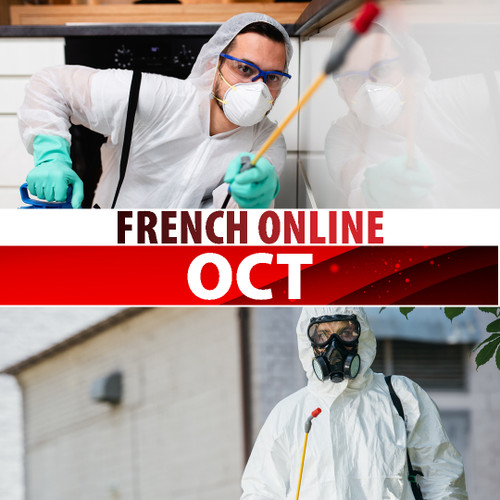 OCT ONLINE - MAY 8 2026: 8AM-4PM ET (FRENCH)