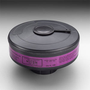 PakTrade Filtro HEPA per Aspirapolvere Siemens VS 08 G 2490/03