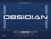 2023/24 Panini Obsidian Soccer Hobby Case