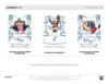 2024 Panini Flawless WWE Hobby Box