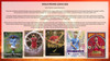 2026 Topps Merlin Premier League Soccer Hobby Box
