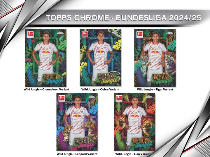得価，限定セール 2024-25 Topps Chrome Bundesliga Anrie Chase Auto Stuttgart RC /75 直筆サインカード チェイス・アンリ