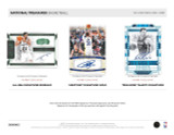 2023/24 Panini National Treasures Basketball Hobby Case