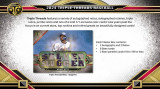 2024 Topps Triple Threads Baseball Hobby Case
