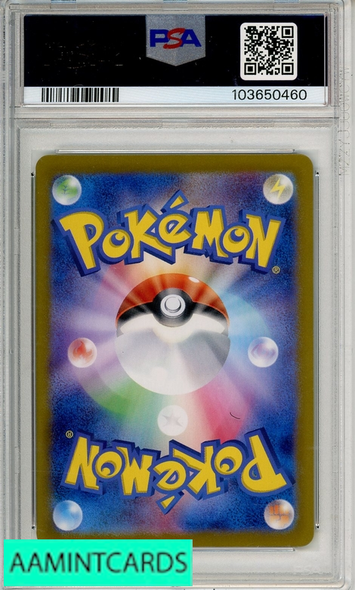 2024 POKEMON JAPANESE SV8A-TERASTAL FEST EX GLACEON EX #206 SAR PSA 10 103650460