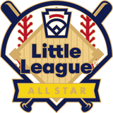 Little League All Star Apparel Made Easy | BSG