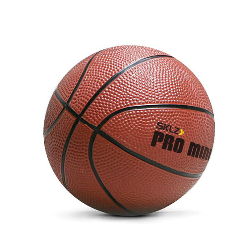 Pro Mini Hoop Ball