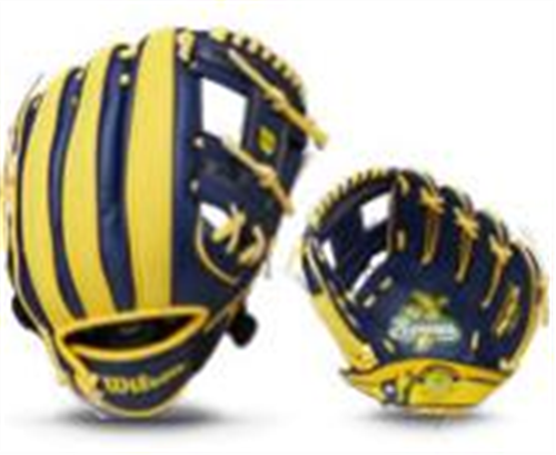 WILSON WBW10135910 A200™ EZ CATCH™ SERIES ALL POSITIONS - 10"