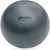 Champion Sports BRT53 Gray Training/Exercise Ball