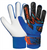 Reusch Attrakt Starter Solid