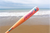 Easton 2026 MAV1 Flash USSSA Baseball Bat (-5)