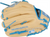 Rawlings Pro Preferred Glove PROS204-2CCB 11.5"