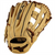 MIZUNO 313125 PROSPECT SELECT SERIES UTILITY BASEBALL GLOVE 12"