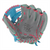Rawlings Heart of the Hide Series 12-Inch Softball Glove