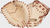 Rawlings Heart of the Hide Camel Catcher's Mitt 34" RHT