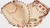 Rawlings Heart of the Hide Camel Catcher's Mitt 34" RHT