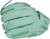 Rawlings Pro Preferred Series 12" Baseball Glove PROS206-12M