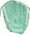 Rawlings Pro Preferred Series 12" Baseball Glove PROS206-12M
