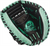 Rawlings Pro Preferred Series 33" Catcher's Glove PROSCM33-23BM