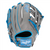 Rawlings NXT 12.25" Baseball Glove NXT207U-6G
