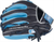 Rawlings NXT 11.25" Baseball Glove NXT312U-2CB
