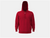 Under Armour Men's Team Icon Fleece Hoodie