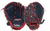 RAWLINGS RPL10N PAYERS SERIES 10" GLOVE